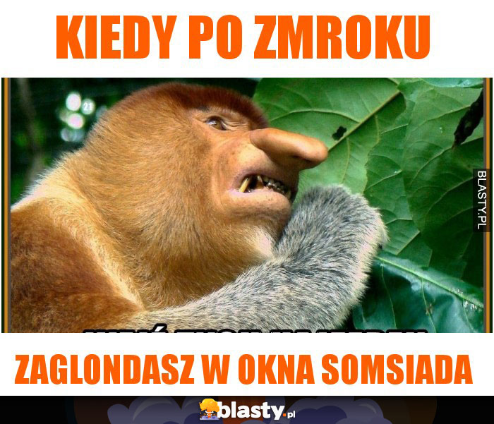 kiedy po zmroku