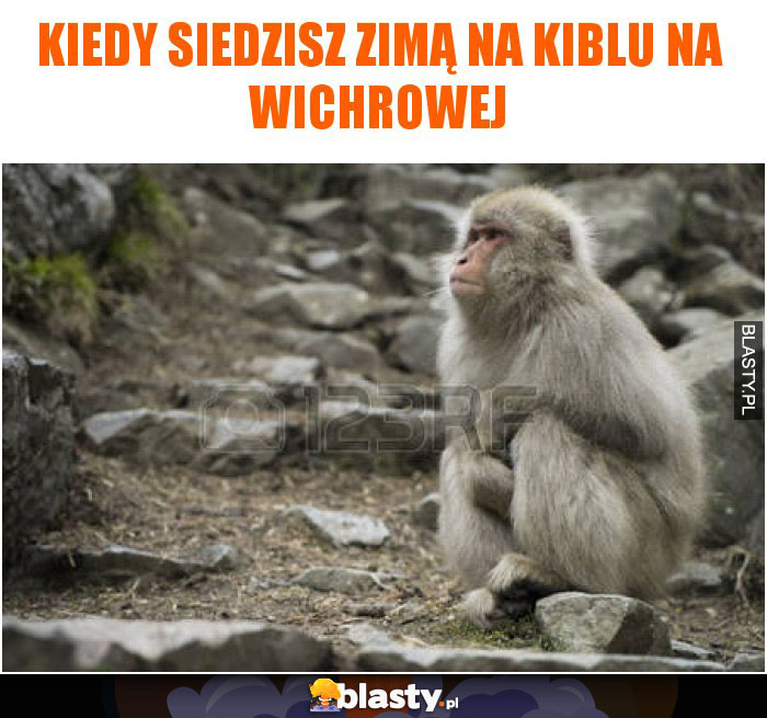 kiedy siedzisz zimą na kiblu na wichrowej