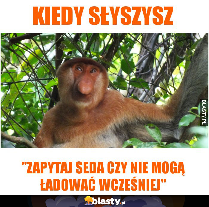 kiedy słyszysz