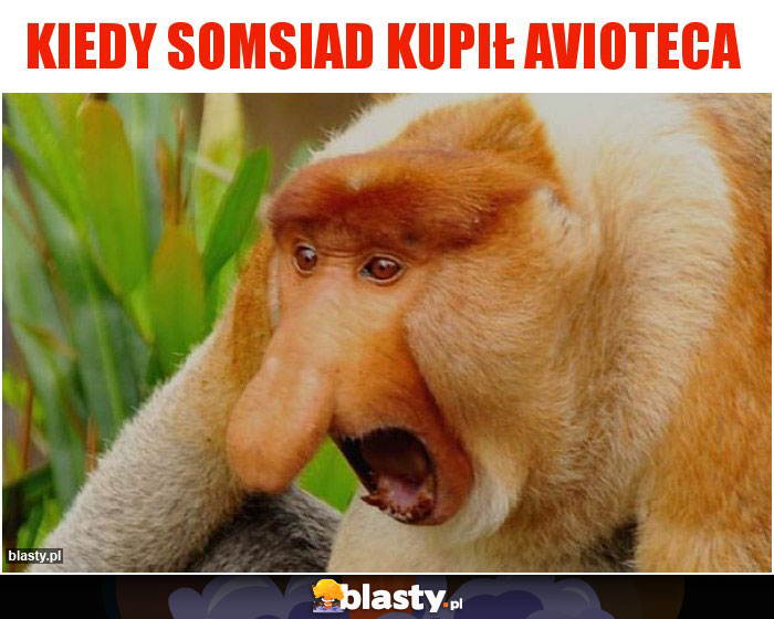 KIEDY SOMSIAD KUPIŁ AVIOTECA