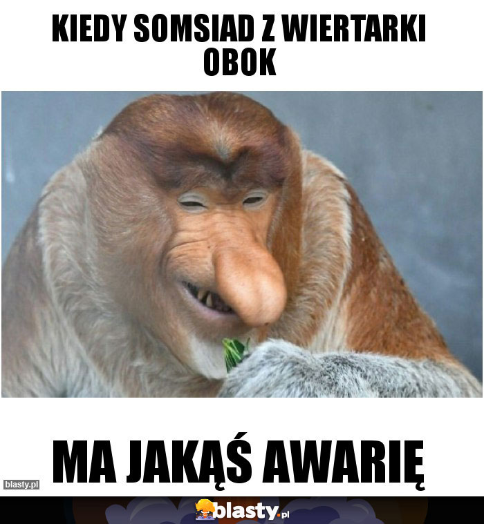 Kiedy somsiad z wiertarki obok