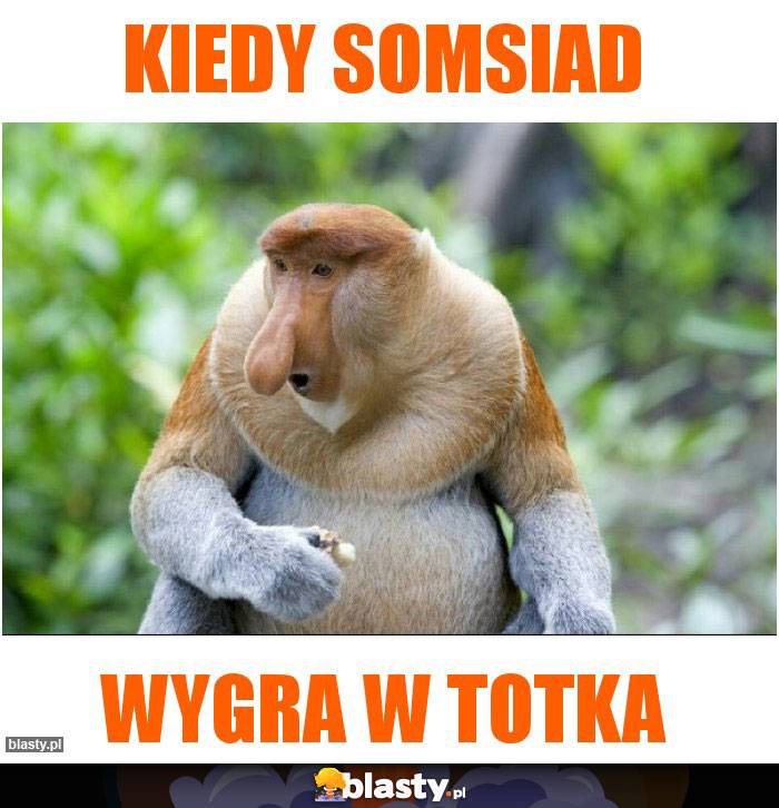 Kiedy somsiad