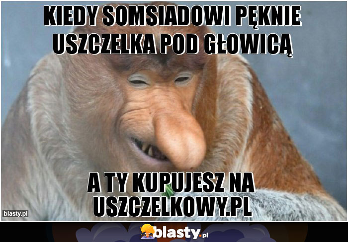 KIEDY SOMSIADOWI PĘKNIE USZCZELKA POD GŁOWICĄ