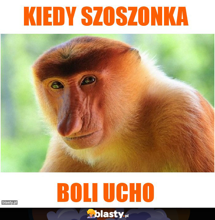 Kiedy szoszonka