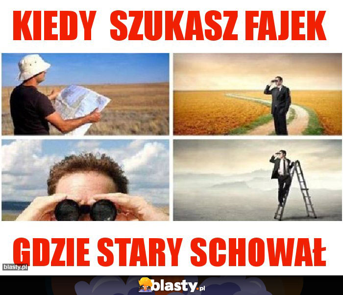 Kiedy  szukasz fajek