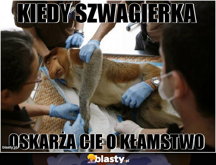 Kiedy szwagierka