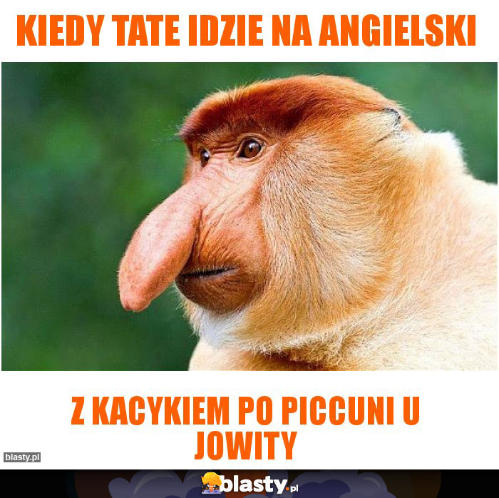 KIEDY TATE IDZIE NA ANGIELSKI