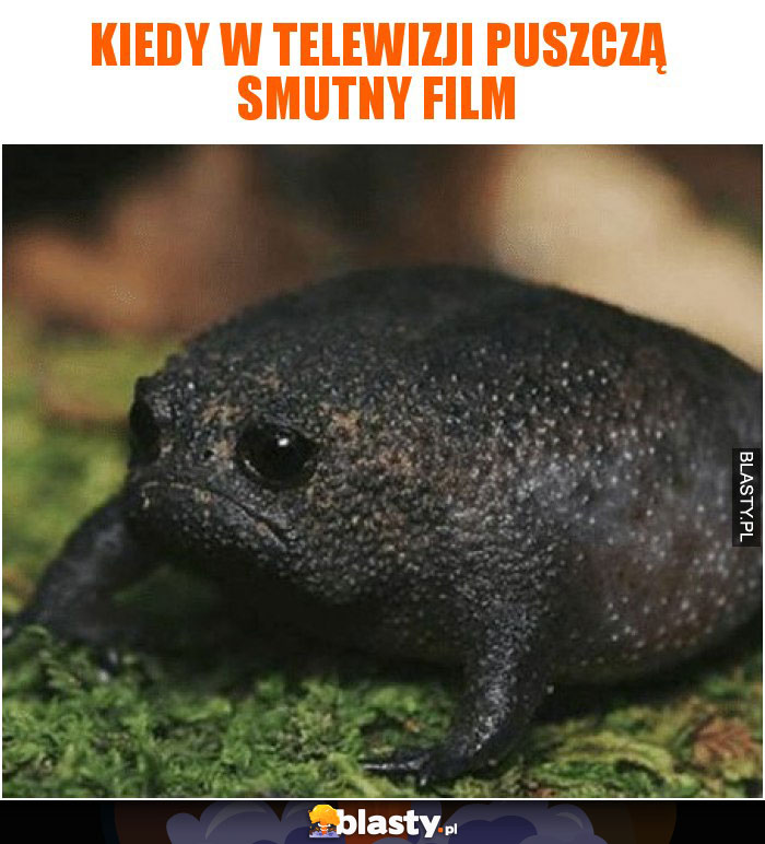 Kiedy w telewizji puszczą smutny film