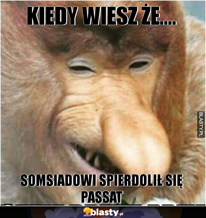 Kiedy wiesz że....