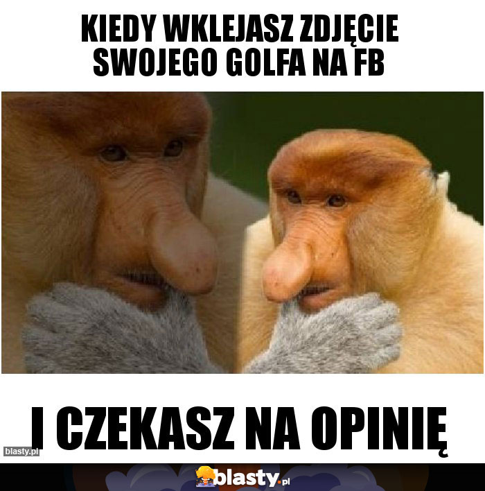 Kiedy wklejasz zdjęcie swojego golfa na fb