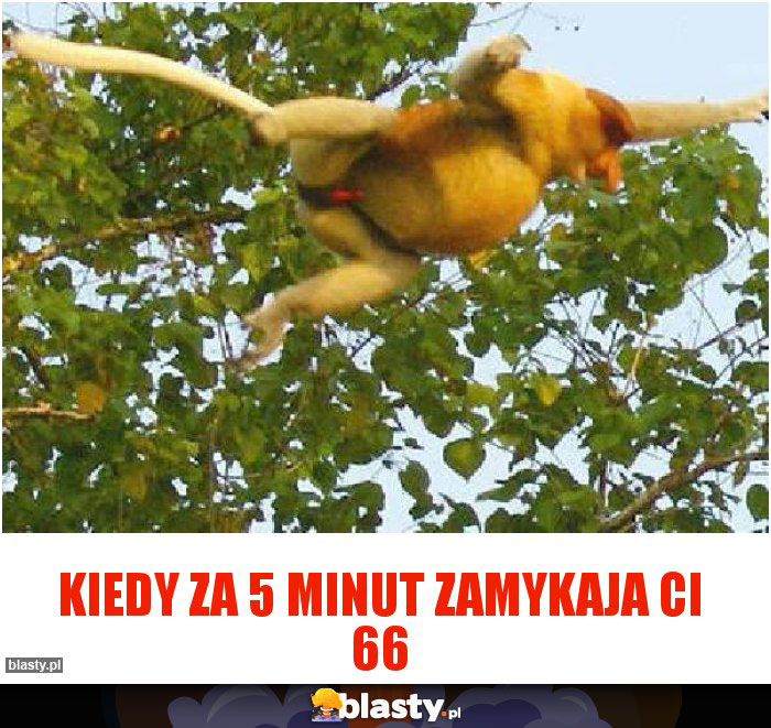 kiedy za 5 minut zamykaja ci 66