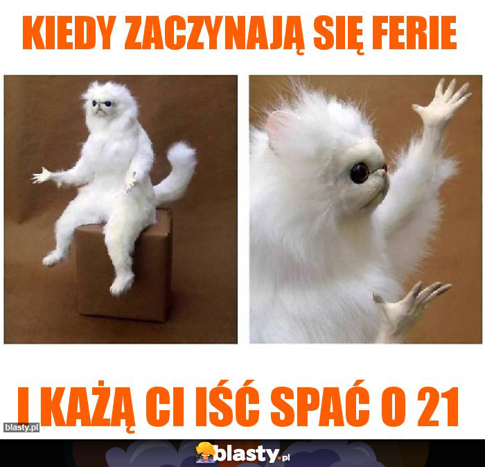 KIEDY ZACZYNAJĄ SIĘ FERIE