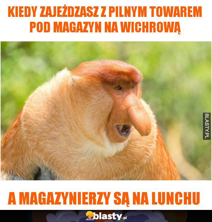 kiedy zajeżdzasz z pilnym towarem pod magazyn na wichrową