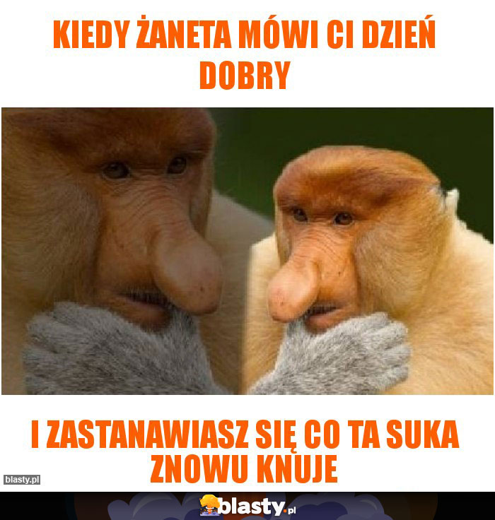 Kiedy Żaneta mówi Ci dzień dobry