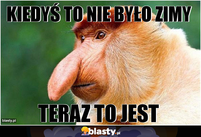 KIEDYŚ TO NIE BYŁO ZIMY