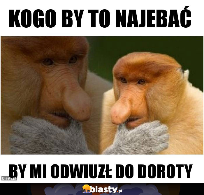 Kogo by to najebać