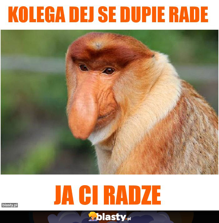 Kolega dej se dupie rade