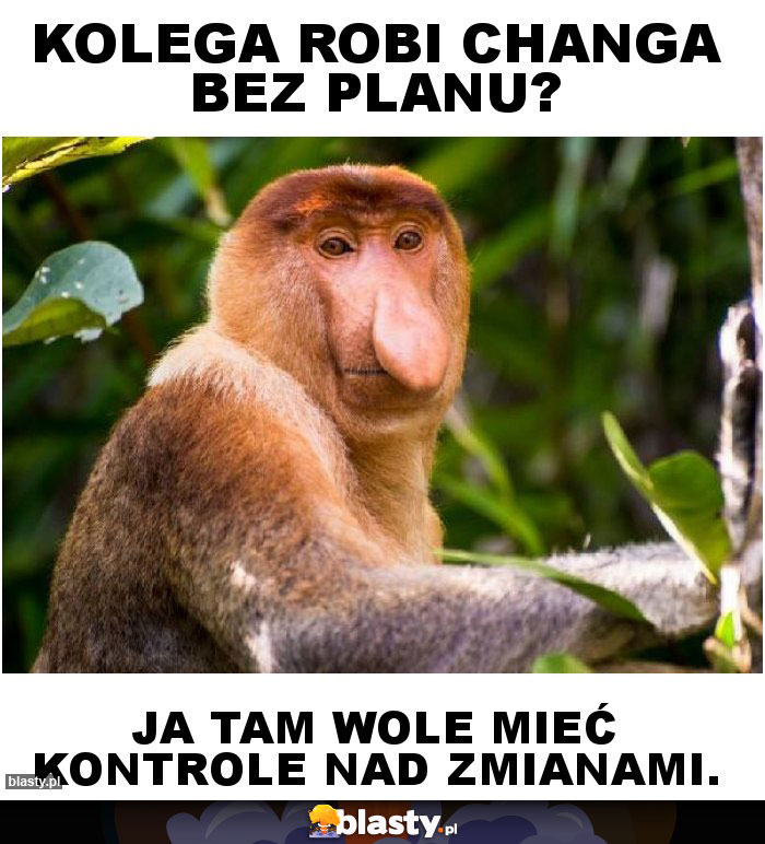 Kolega robi changa bez planu?