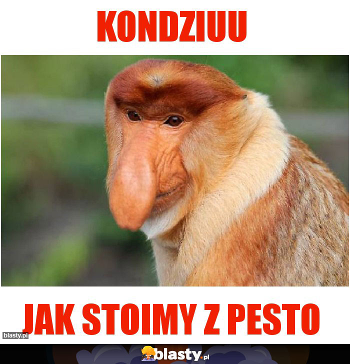 Kondziuu