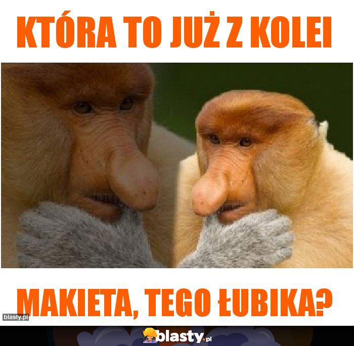 Która to już z kolei