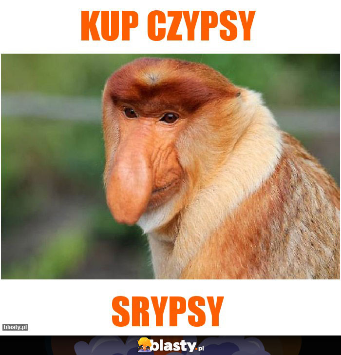 Kup czypsy