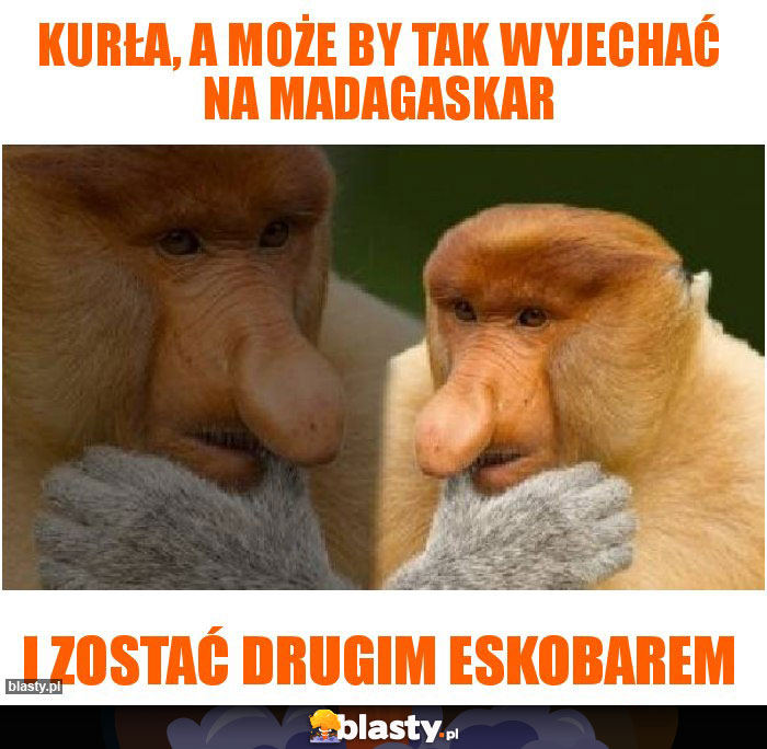 kurła, a może by tak wyjechać na madagaskar