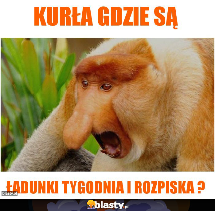 Kurła gdzie są