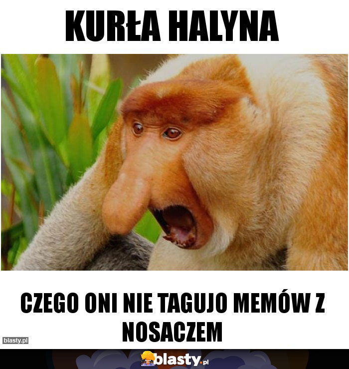 KURŁA HALYNA