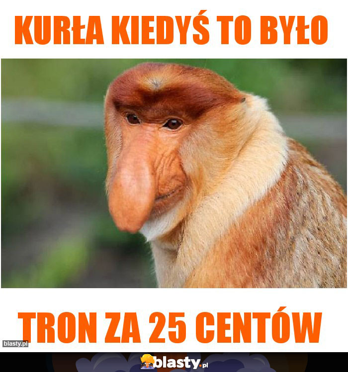 KURŁA KIEDYŚ TO BYŁO