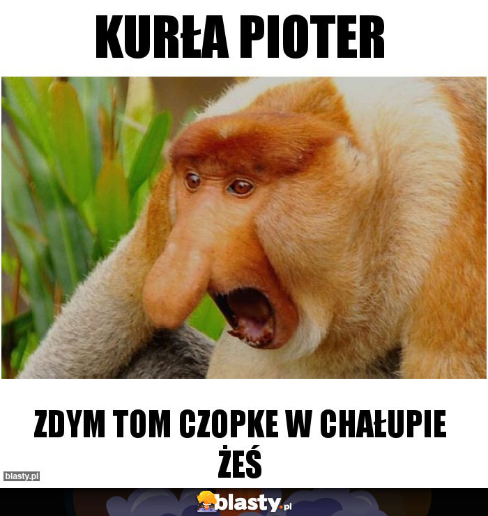 Kurła Pioter