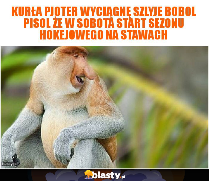 Kurła pjoter wyciągnę szlyje Bobol pisol że w sobota start sezonu hokejowego na stawach