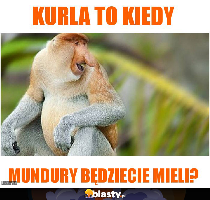 Kurla to kiedy