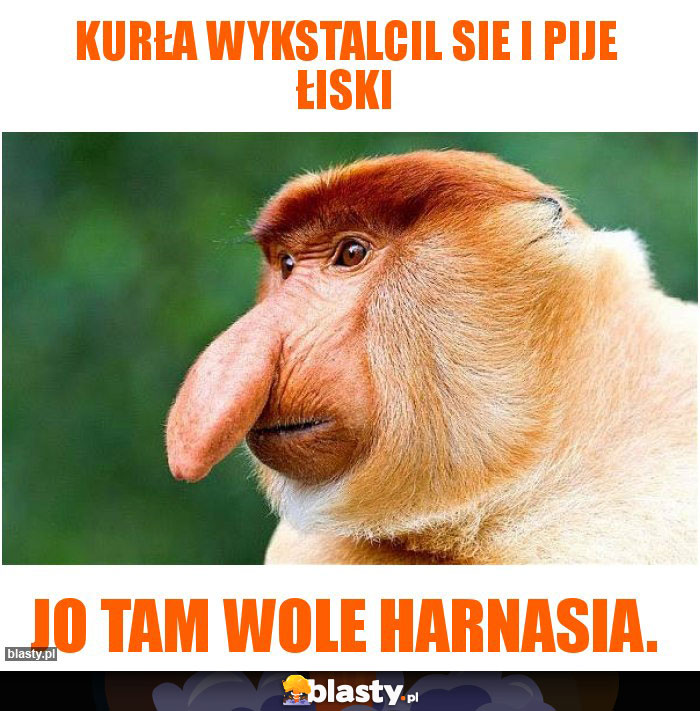 Kurła wykstalcil sie i pije łiski