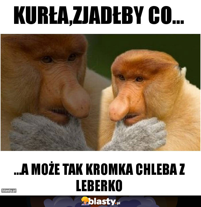 Kurła,zjadłby co...