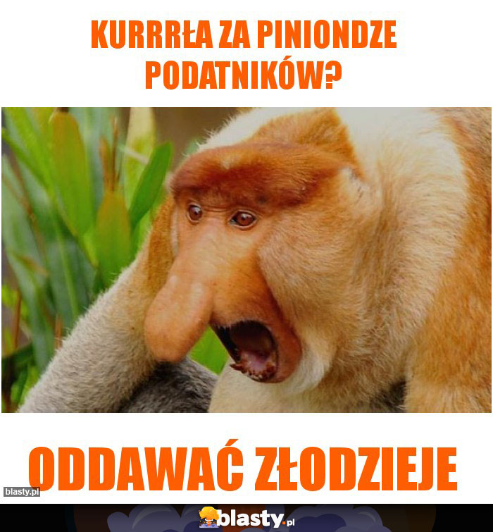 KURRRŁA ZA PINIONDZE PODATNIKÓW?