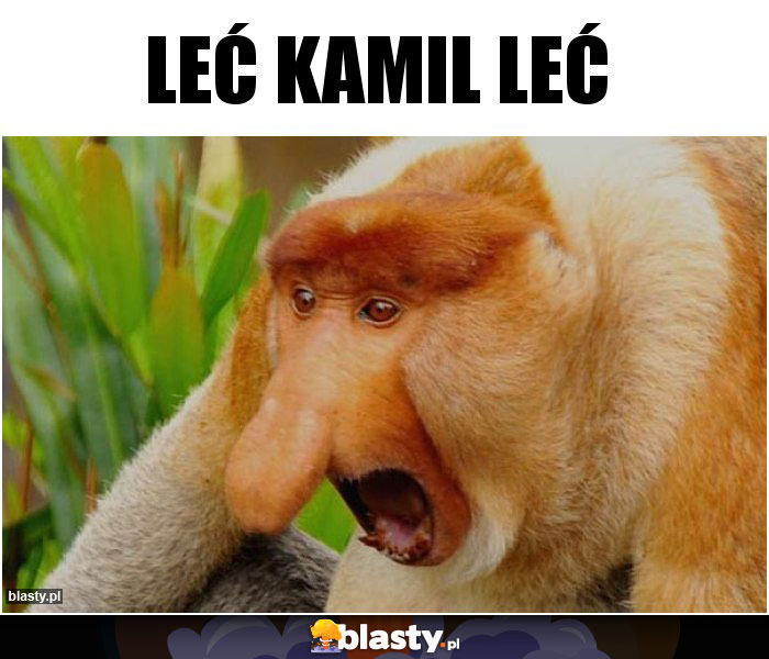 Leć Kamil Leć