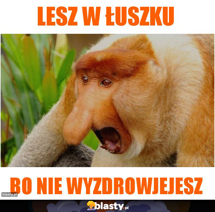 lesz w łuszku