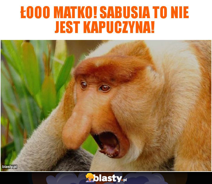 Łooo matko! Sabusia to nie jest kapuczyna!