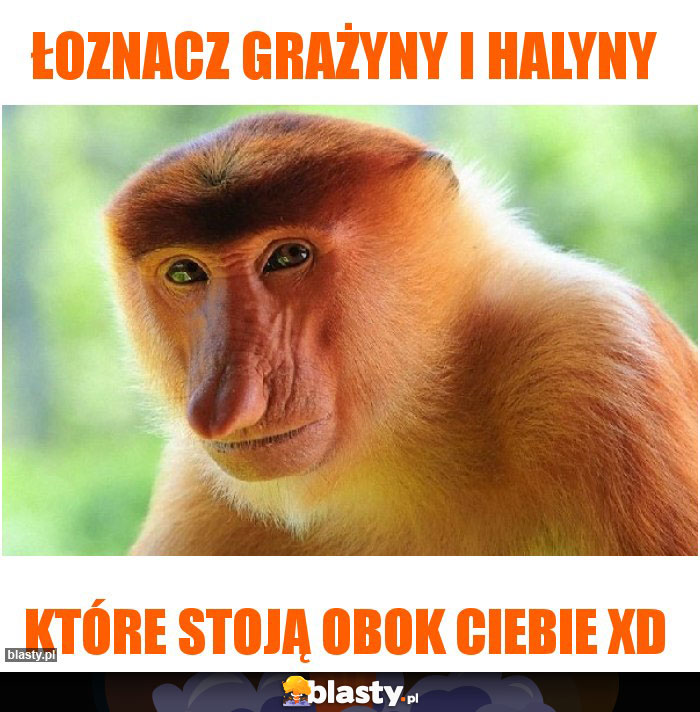 Łoznacz grażyny i halyny