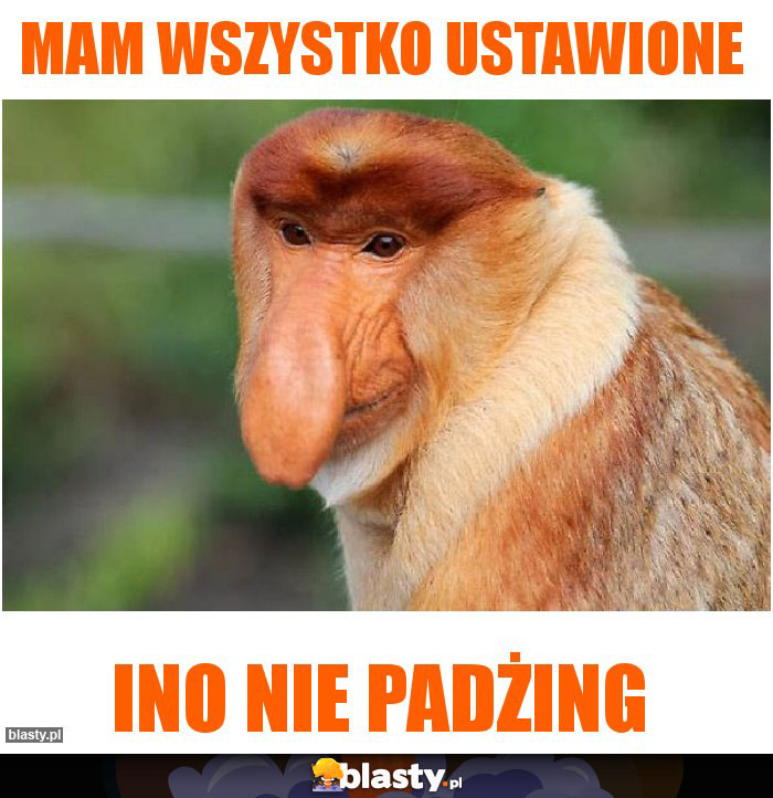 Mam wszystko ustawione