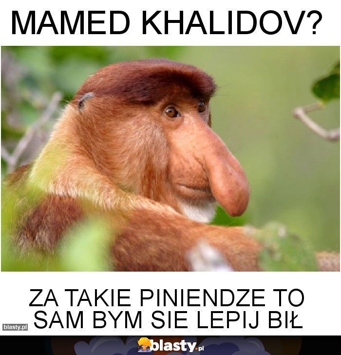 Mamed Khalidov?