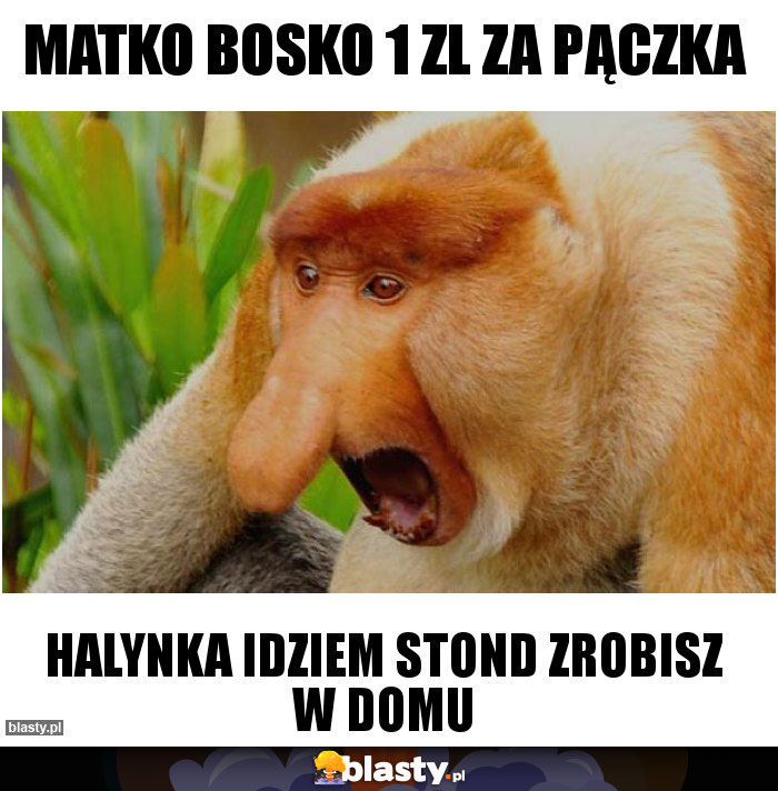 Matko bosko 1 zl za pączka