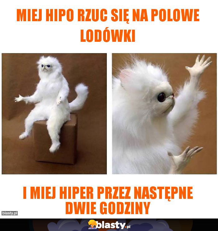 Miej hipo rzuc się na polowe lodówki