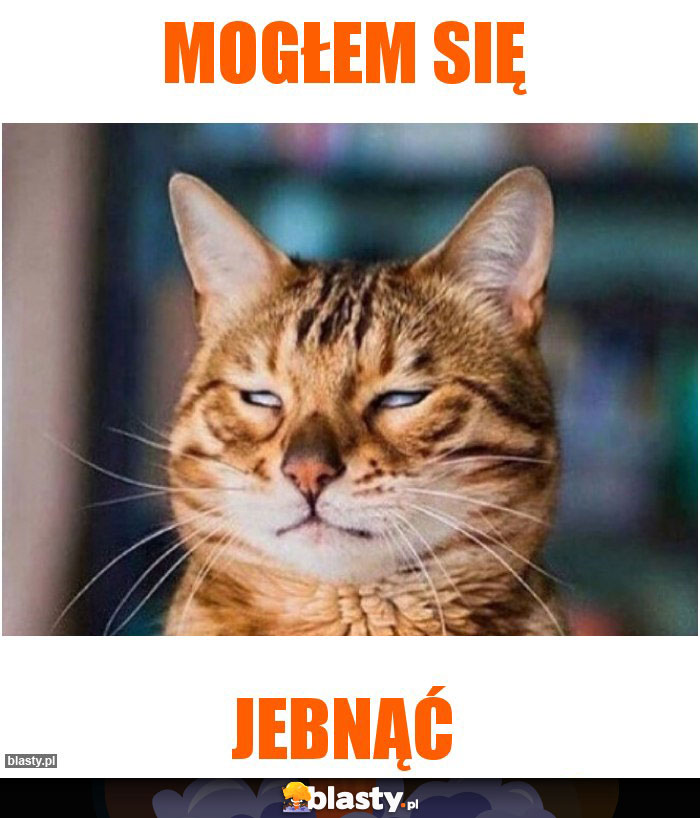 Mogłem się