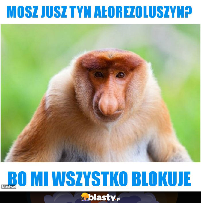 MOSZ JUSZ TYN AŁOREZOLUSZYN?