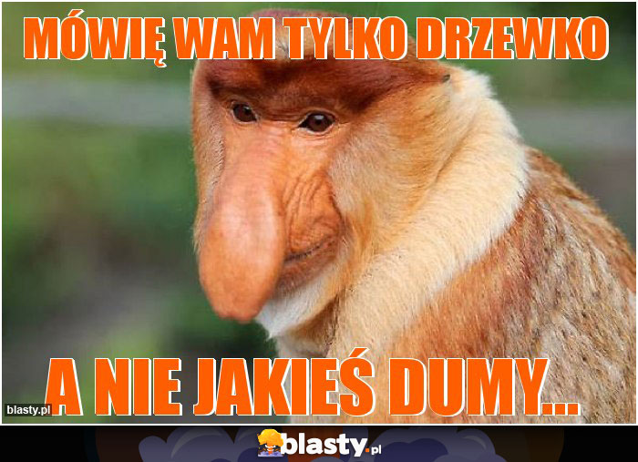 Mówię wam tylko drzewko