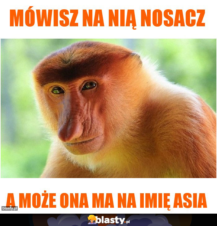 MÓWISZ NA NIĄ NOSACZ