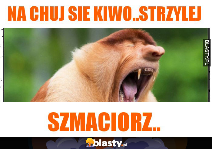 na chuj sie kiwo..strzylej