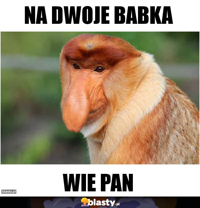 Na dwoje babka