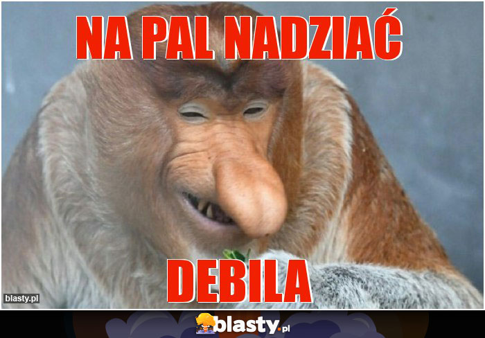 na pal nadziać